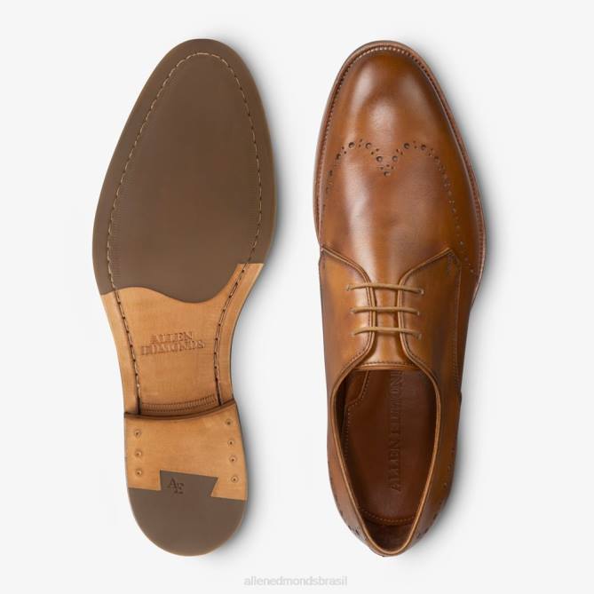 Allen Edmonds homens sapato social lucca derby 68T8D322 noz marrom