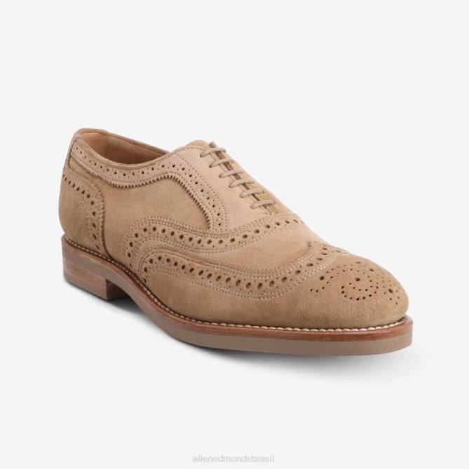 Allen Edmonds homens neumok camurça wingtip oxford 68T8D101 camelo
