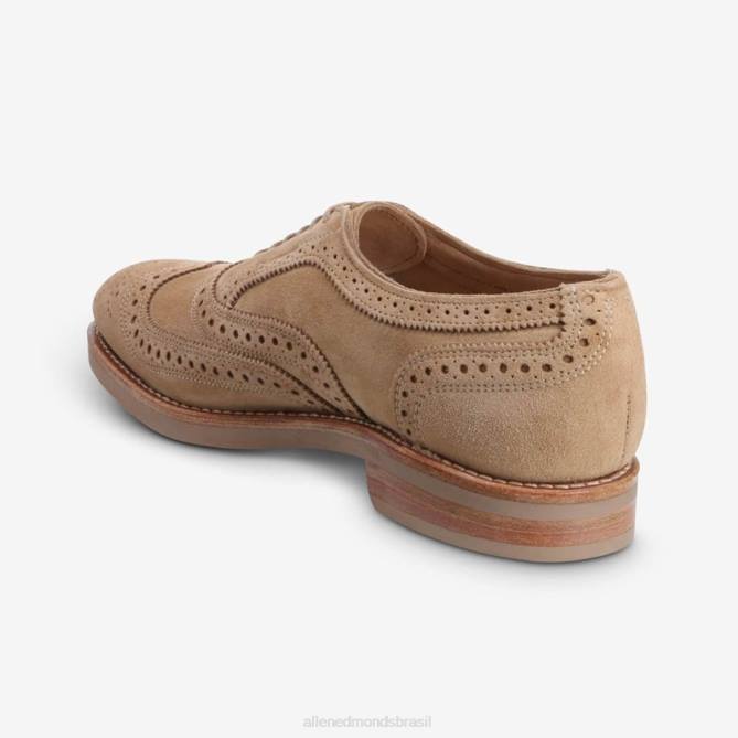 Allen Edmonds homens neumok camurça wingtip oxford 68T8D101 camelo