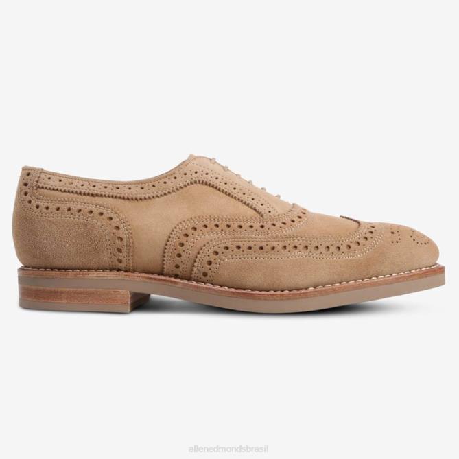 Allen Edmonds homens neumok camurça wingtip oxford 68T8D101 camelo