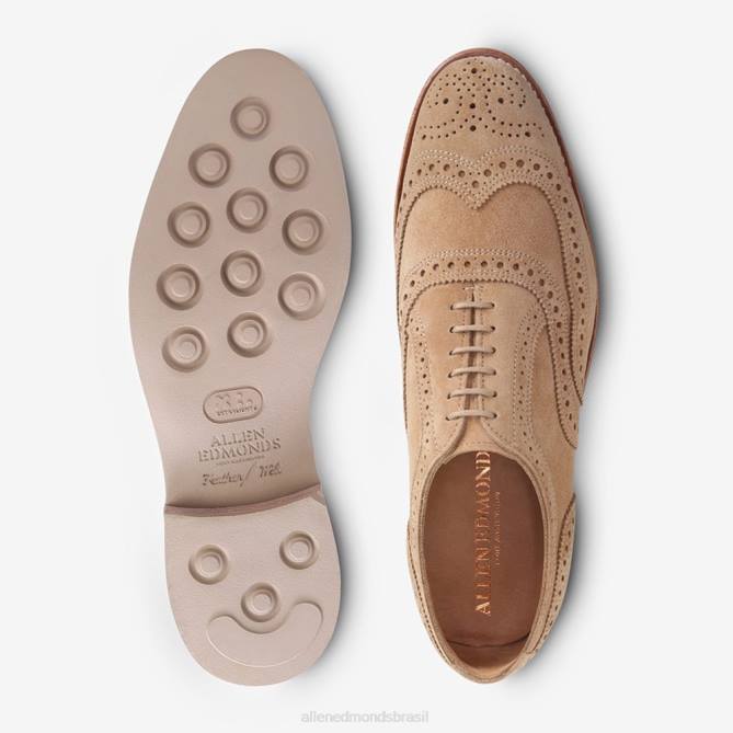 Allen Edmonds homens neumok camurça wingtip oxford 68T8D101 camelo