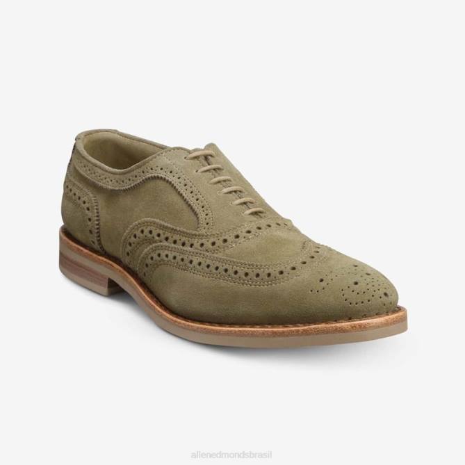 Allen Edmonds homens neumok camurça wingtip oxford 68T8D107 verde sálvia