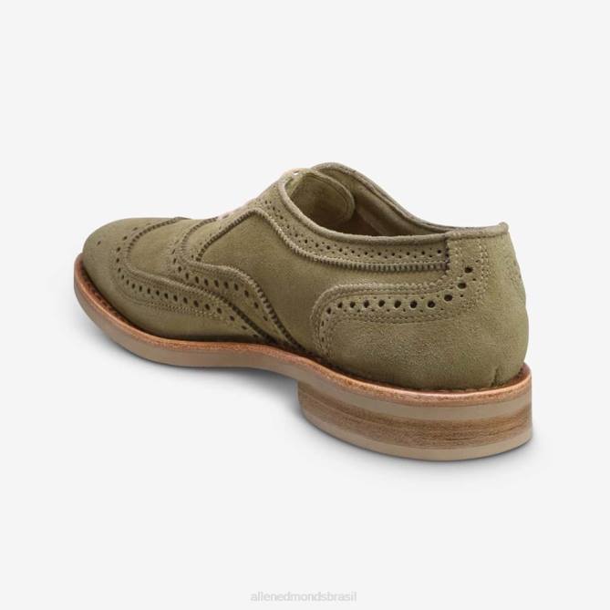 Allen Edmonds homens neumok camurça wingtip oxford 68T8D107 verde sálvia