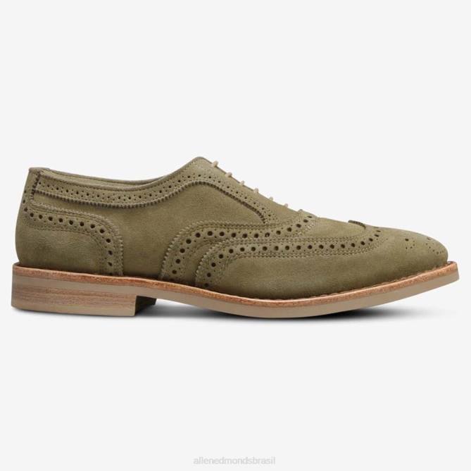 Allen Edmonds homens neumok camurça wingtip oxford 68T8D107 verde sálvia