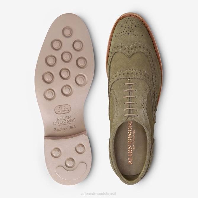 Allen Edmonds homens neumok camurça wingtip oxford 68T8D107 verde sálvia