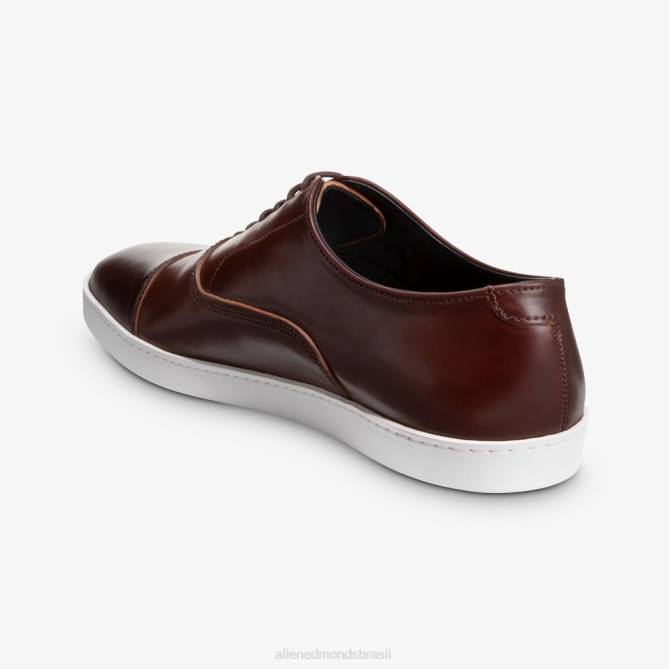 Allen Edmonds homens park avenue shell cordovan oxford tênis vestido 68T8D21 pimentão cordovan