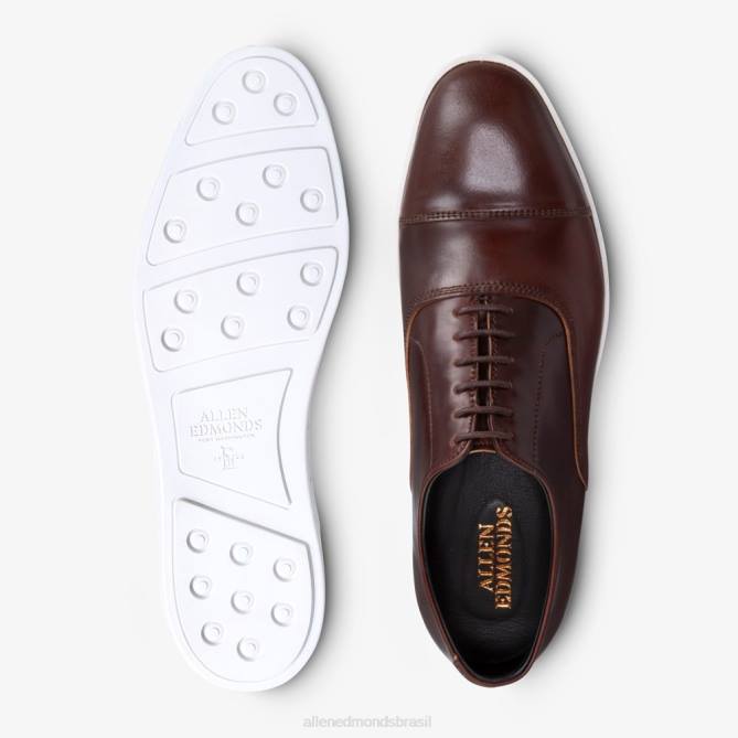 Allen Edmonds homens park avenue shell cordovan oxford tênis vestido 68T8D21 pimentão cordovan