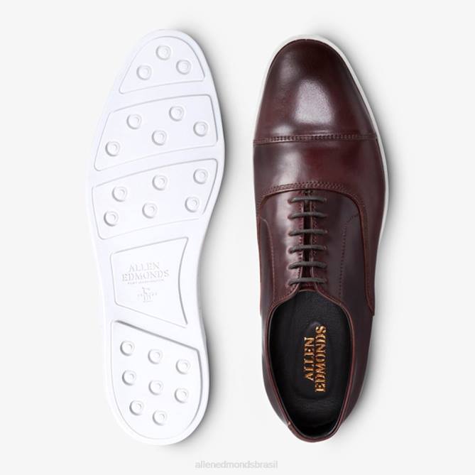 Allen Edmonds homens park avenue shell cordovan oxford tênis vestido 68T8D264 bordô de cordovão