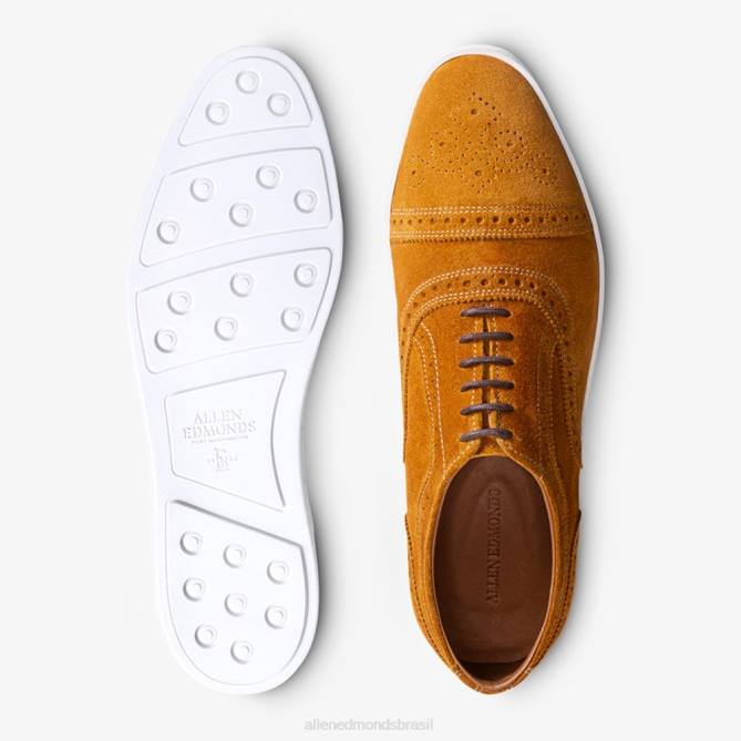 Allen Edmonds homens tênis oxford fio 68T8D13 camurça de açafrão