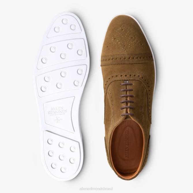 Allen Edmonds homens tênis oxford fio 68T8D240 alcaparra camurça